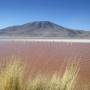 Bolivie - 