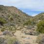 USA - Joshua Tree Narional Park