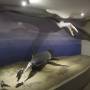 Les iles Ballestas