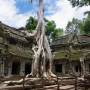 Cambodge - Ta Prohm - Tomb Raider Temple
