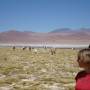 Bolivie - eve et ses lamas chéris