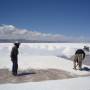 Bolivie - Salar - une aide dérisoire