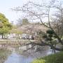 Japon - 