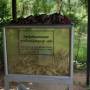 Cambodge - 