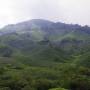 Malaisie - Plantations de th&eacute;
