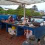Équateur - GALAPAGOS - île de Santa Cruz - marché aux poissons