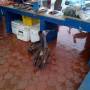 Équateur - GALAPAGOS - île de Santa Cruz - marché aux poissons
