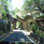 Zion National Park !