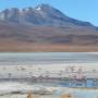 Bolivie - 