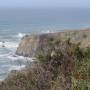 USA - sur la route 101 direction de fort bragg,californie