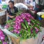 Thaïlande - marche au fleur