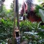 Thaïlande - 