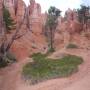 Bryce canyon, l'un des plus...