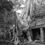 Cambodge - 