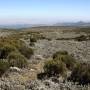 J+93 - Bale Mountains National...