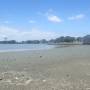 Nouvelle-Zélande - Mangere Beach
