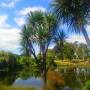 Nouvelle-Zélande - Botanic Garden