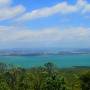 Nouvelle-Zélande - Rangitoto Island