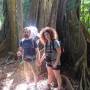Costa Rica - Seigneur les arbres