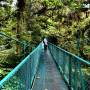 Costa Rica - cloud forest