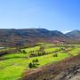 Fuerteventura : aux environs de...