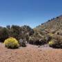 Espagne - Teide