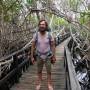 Équateur - Ballade en mangrove de lave
