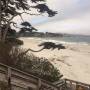 USA - Carmel beach