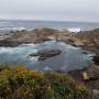 USA - Point lobos