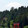 Japon - Mont Fuji vue du lac Ashi