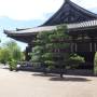 Japon - Sanjusangendo temple