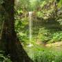Malaisie - Lambir Hills Waterfall