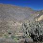 Pérou - Canyon del Colca