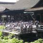 Japon - Ecolier au temple de Kiyomizu