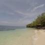 Philippines - Paliton Beach : 0 vache, 100% algues