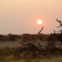 Etosha - 4 nuits dans ce parc...