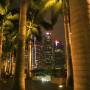 Singapour - Gratte-ciel et palmiers