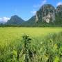 Laos - 