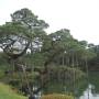 Japon - 