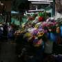 Costa Rica - Un marchand de fleurs sur le marche de San Jose