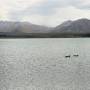 Nouvelle-Zélande - Lake Tekapo