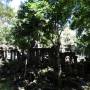 Cambodge - 