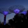 Singapour - 