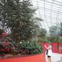 Singapour - 