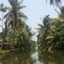 Inde - backwaters allepey