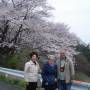 France - cerisier pres de chez Hiroshi