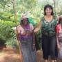 Sri Lanka - rencontre avec les ramasseuse de thé