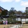 Japon - Extérieur château de Nijo
