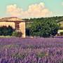 France - 
