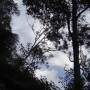 Australie - 